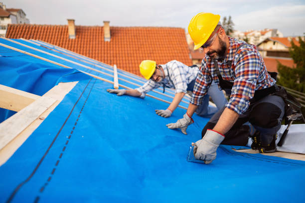 Best Roof Ventilation Installation  in Bristol, FL